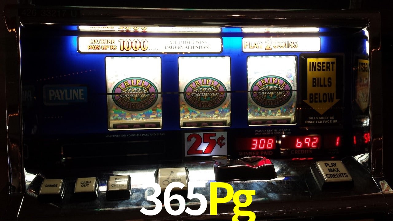 Live Casino 365Pg